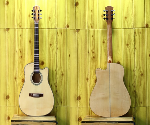 Giá bán guitar ayers Biên Hòa, mua ở đâu giá rẻ?